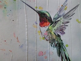 Crush Tapeten, Knitter Tapete Vögel Kolibri aus Berlin kaufen